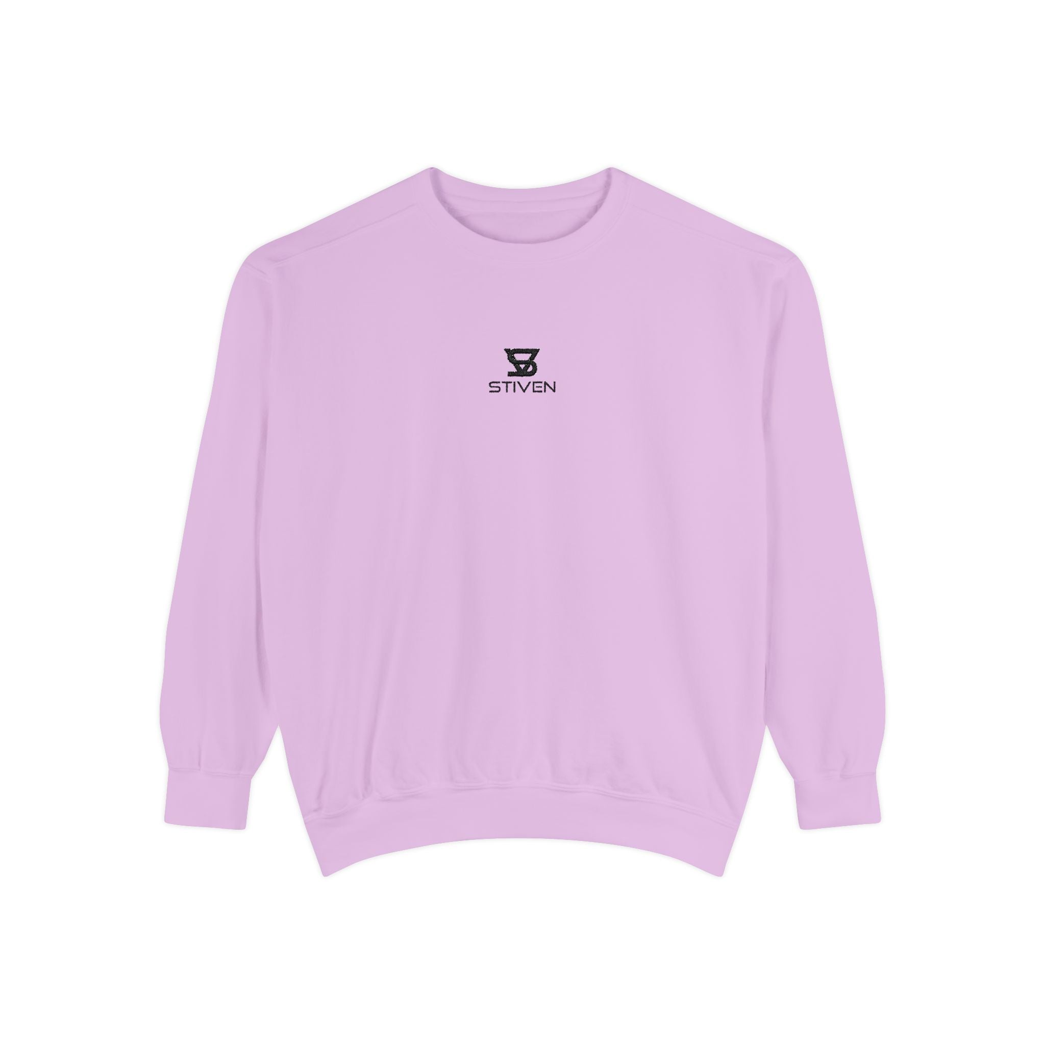 Minimalist 'SENTRY 024' Logo Sweatshirt — Unisex Garment-Dyed Crewneck