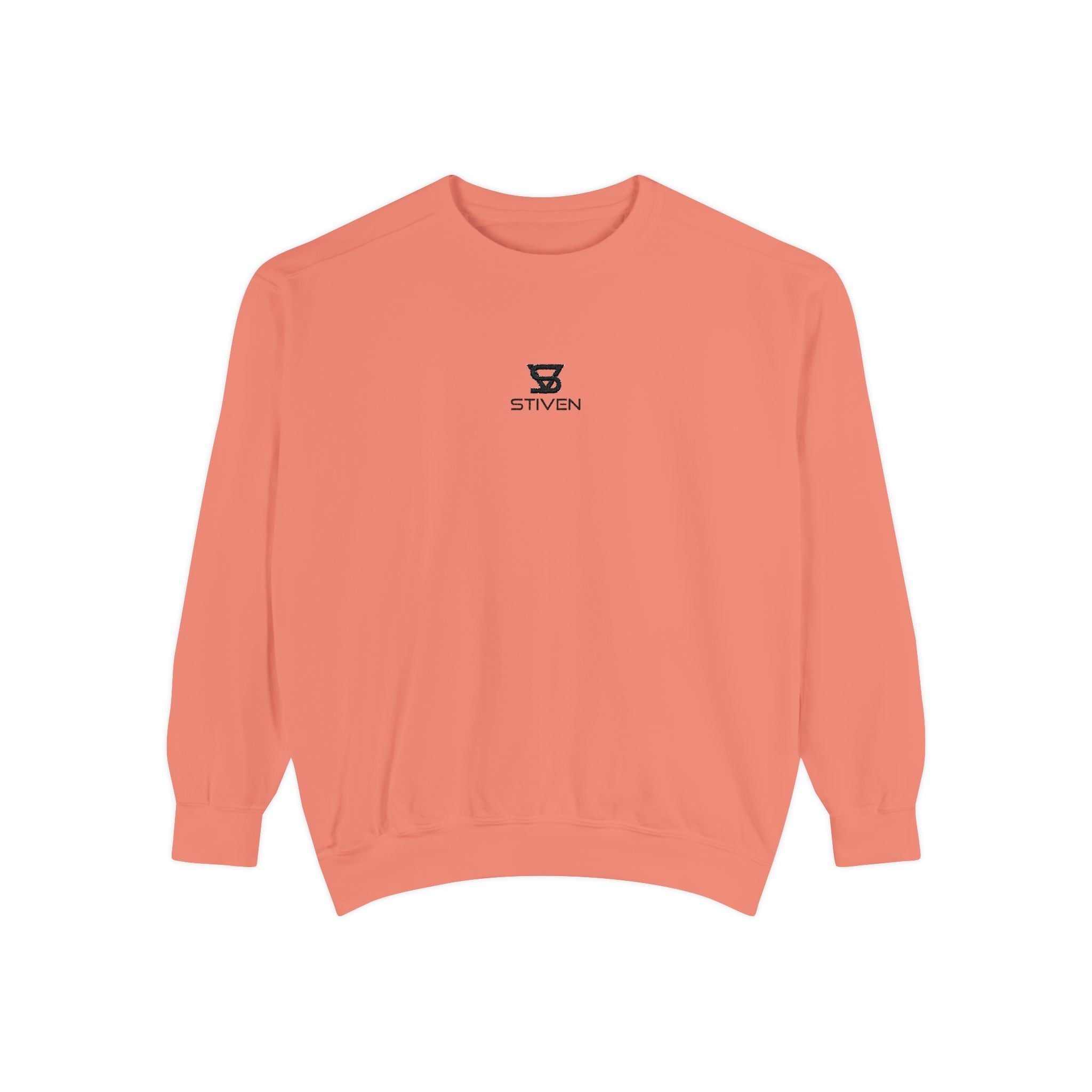 Minimalist 'SENTRY 024' Logo Sweatshirt — Unisex Garment-Dyed Crewneck
