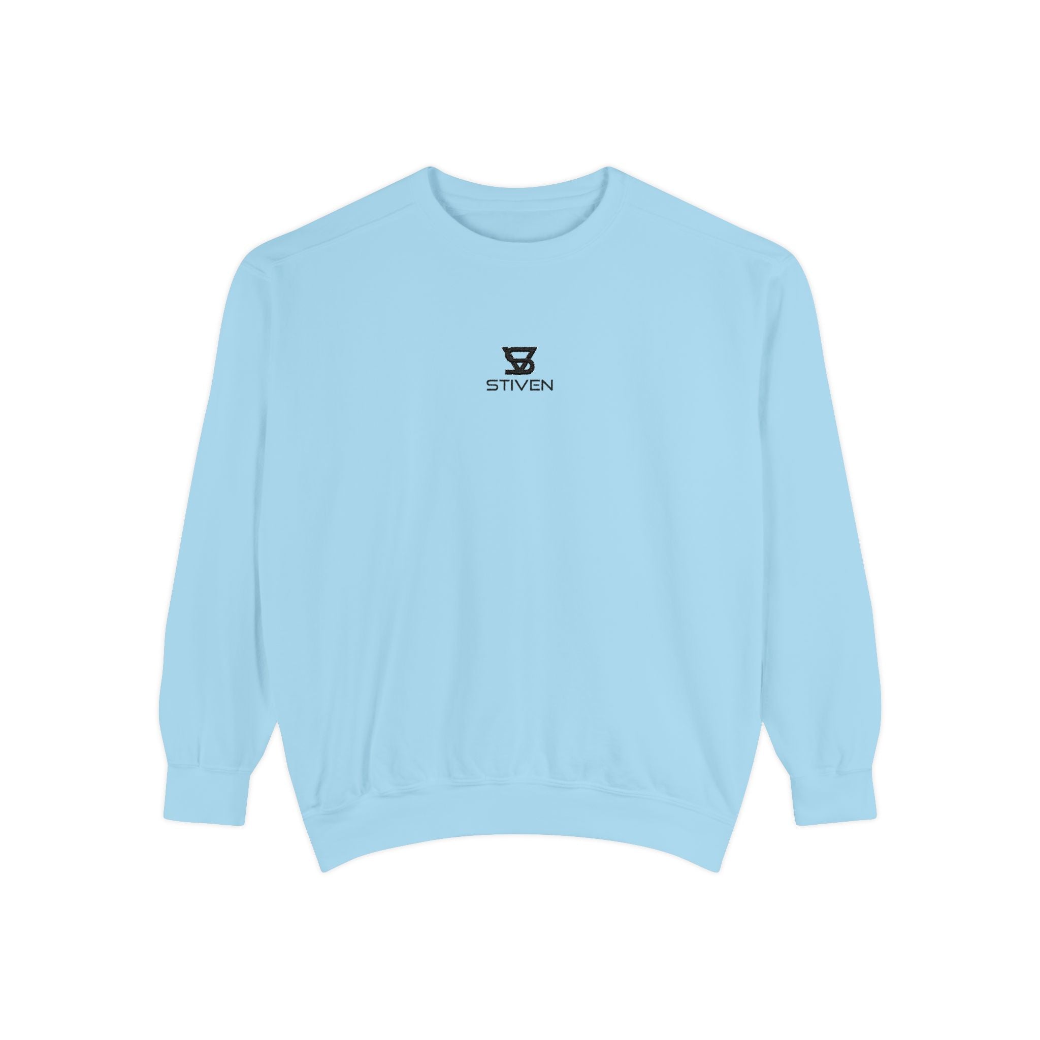 Minimalist 'SENTRY 024' Logo Sweatshirt — Unisex Garment-Dyed Crewneck